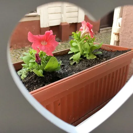 アパート La Cle D'alsace サント・マリー・オー・ミーヌ